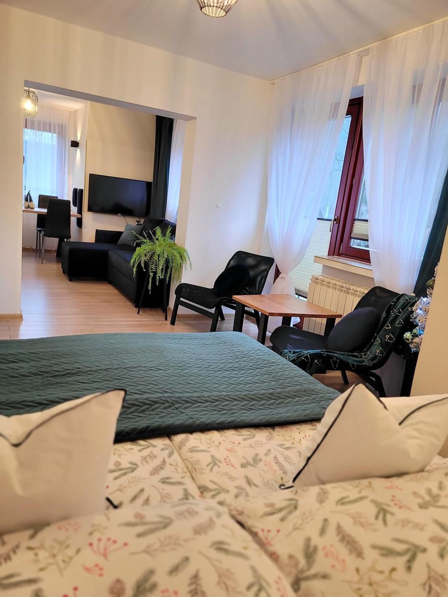 Hafcik Przyjazne Dzieciom Apartamento *